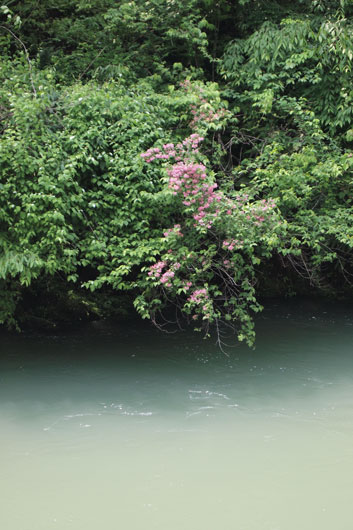 c0093046_9304262.jpg