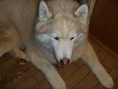 e0121548_22212024.jpg
