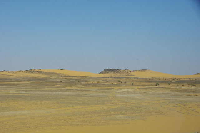 c0011649_026469.jpg