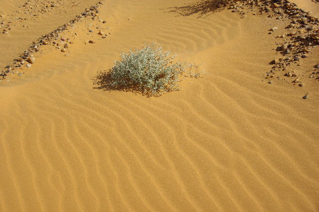 c0011649_0312528.jpg