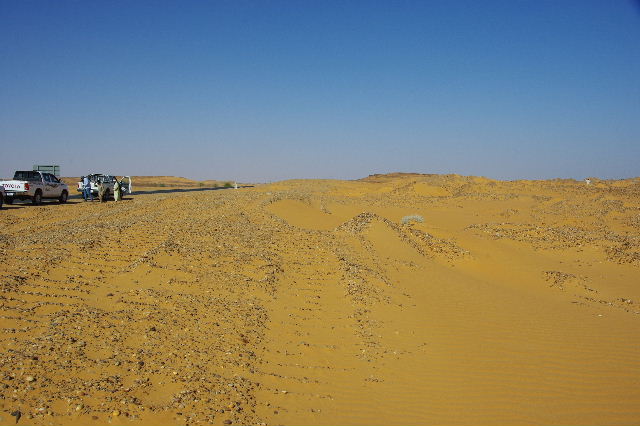 c0011649_032297.jpg