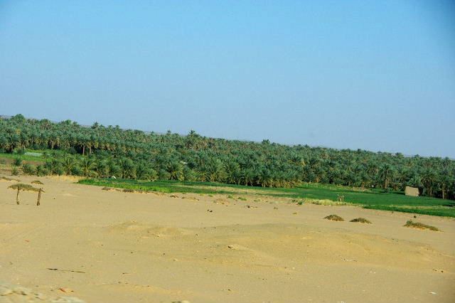 c0011649_040427.jpg