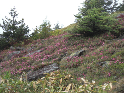 湯の丸山・烏帽子岳登山_d0160351_11244479.jpg