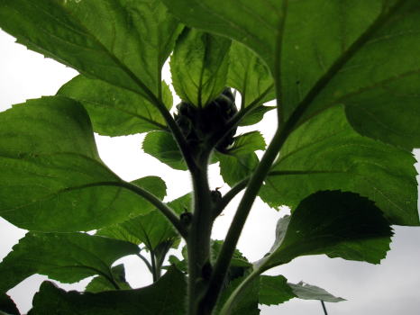 c0147952_012940.jpg