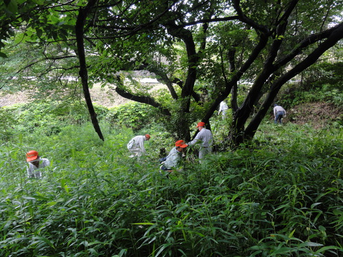 c0108460_18125188.jpg