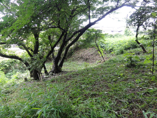c0108460_1813389.jpg