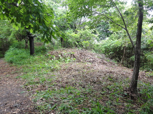c0108460_18154834.jpg