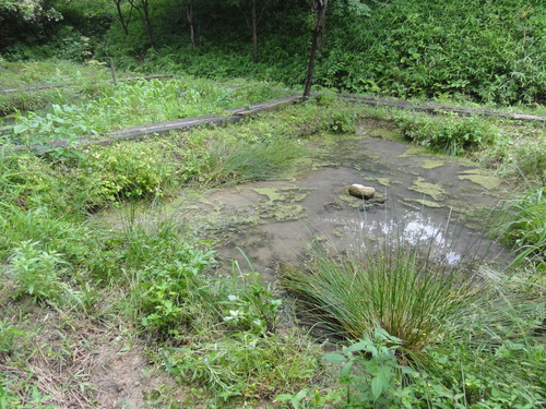 c0108460_18201927.jpg