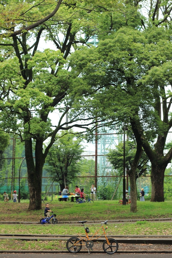 f0178061_1921569.jpg
