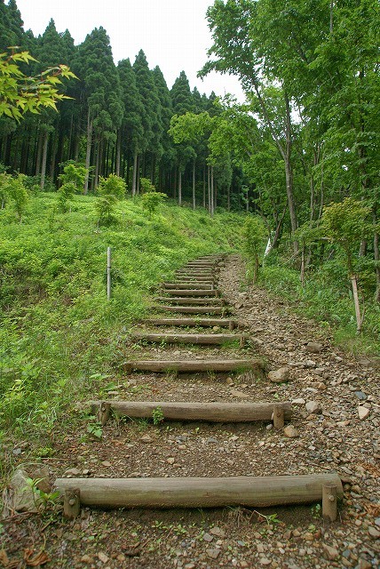 b0198768_2333.jpg