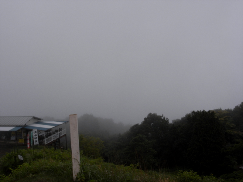 110619 陣馬高原下-陣馬山-高尾山　つゆのひぬまに_f0007272_17502879.jpg