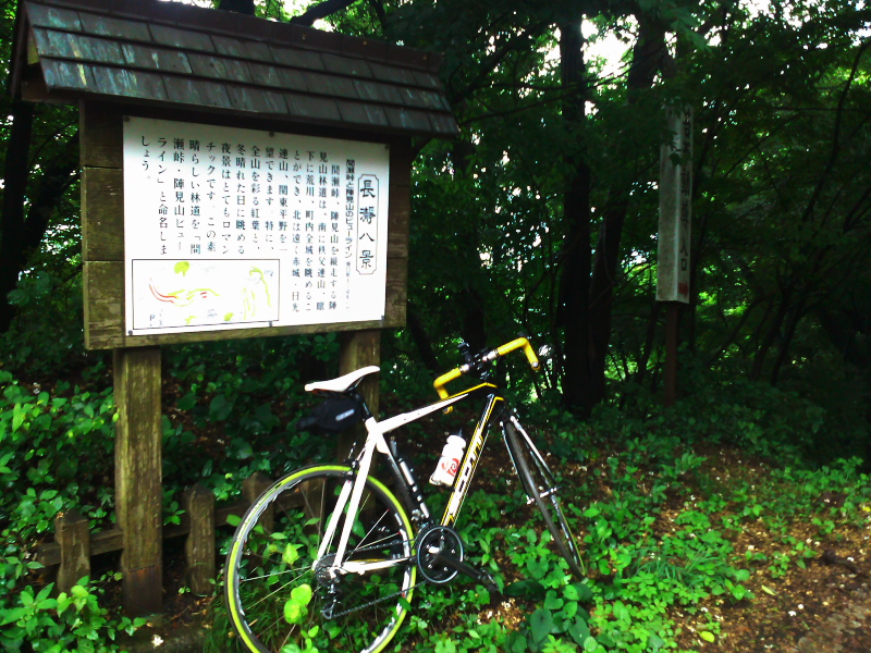 陣見山線・秩父からの定峰峠_b0104774_2075257.jpg