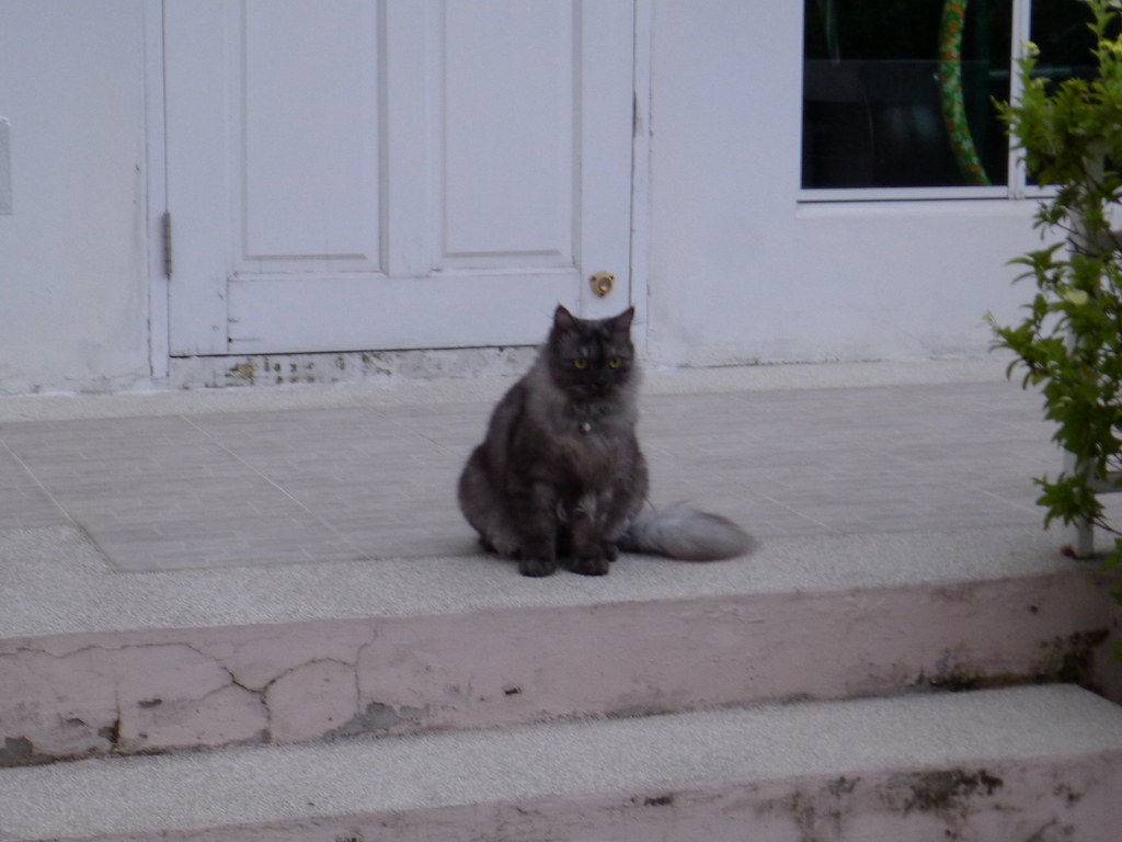 f0178278_1201640.jpg