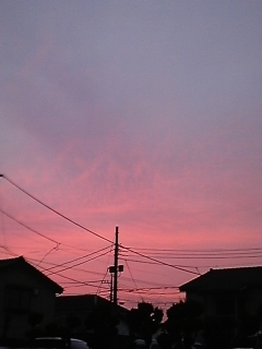f0014183_22182173.jpg