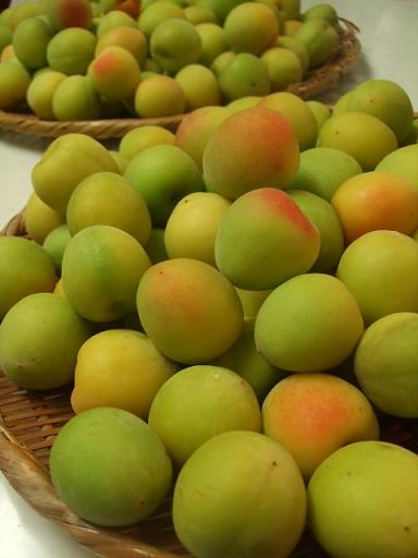 梅ワインと梅サワーの作り方 Weekend Table