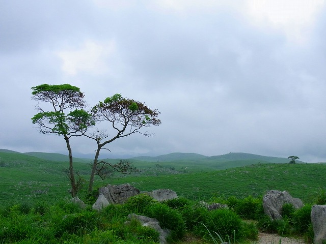 a0180796_0335496.jpg