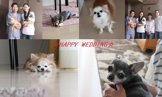 　HAPPY WEDDING_c0222400_8281384.jpg