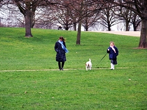 e0015700_1584546.jpg