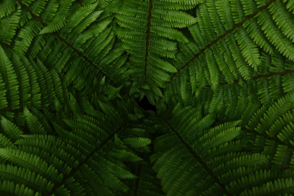 a0155104_1331082.jpg