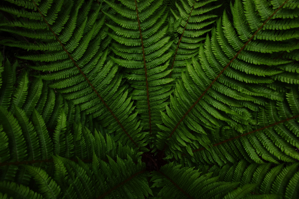 a0155104_1331734.jpg