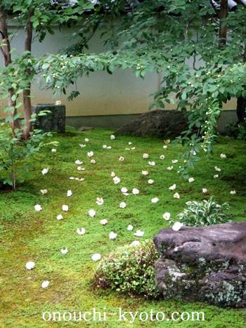 京のオトナの修学旅行・初夏_f0184004_2044481.jpg