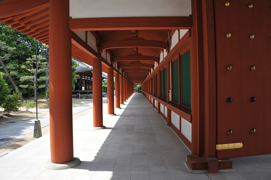 薬師寺 と 玄奘三蔵院 (奈良)_a0042310_922115.jpg
