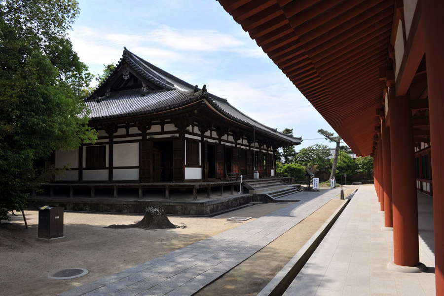 薬師寺 と 玄奘三蔵院 （奈良）_a0042310_9222077.jpg