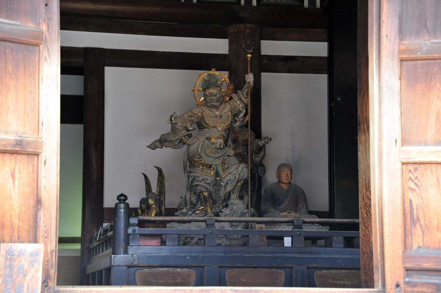 薬師寺 と 玄奘三蔵院 (奈良)_a0042310_9224431.jpg