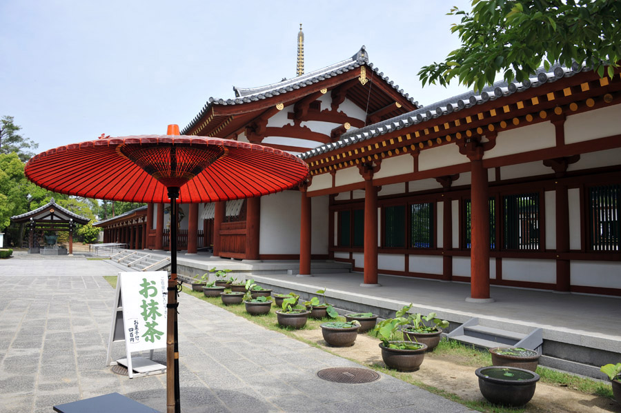 薬師寺 と 玄奘三蔵院 (奈良)_a0042310_9232049.jpg