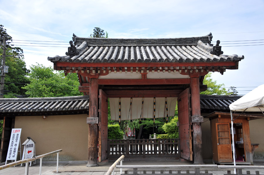 薬師寺 と 玄奘三蔵院 (奈良)_a0042310_9234251.jpg