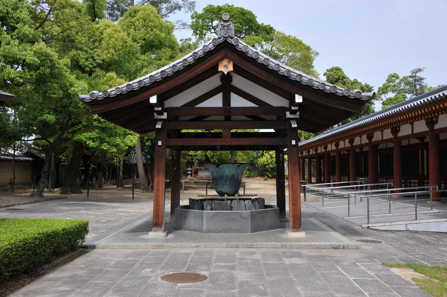 薬師寺 と 玄奘三蔵院 (奈良)_a0042310_923514.jpg
