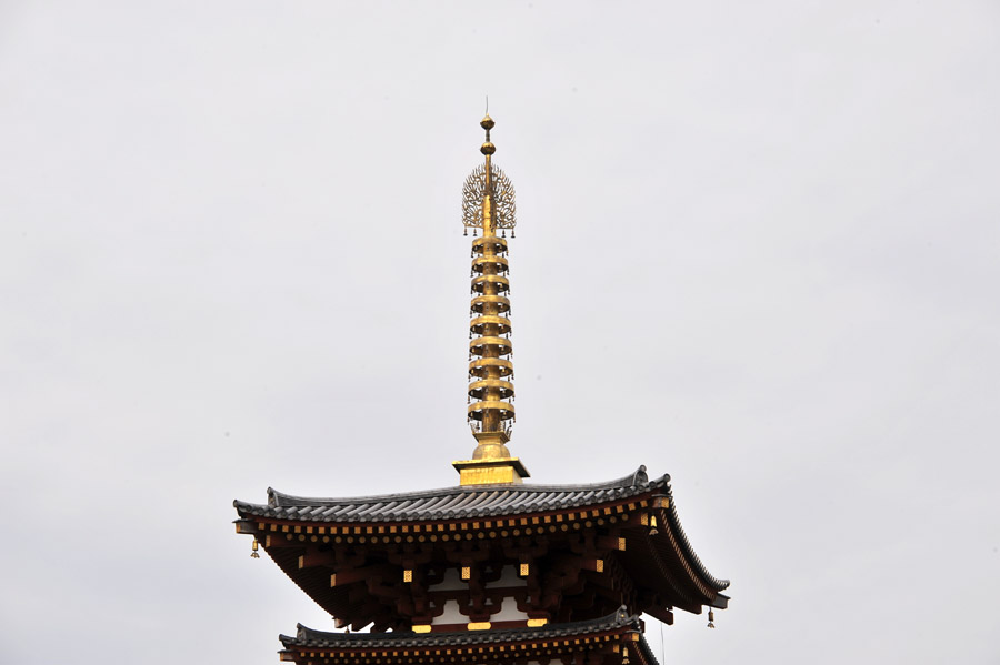 薬師寺 と 玄奘三蔵院 (奈良)_a0042310_927924.jpg