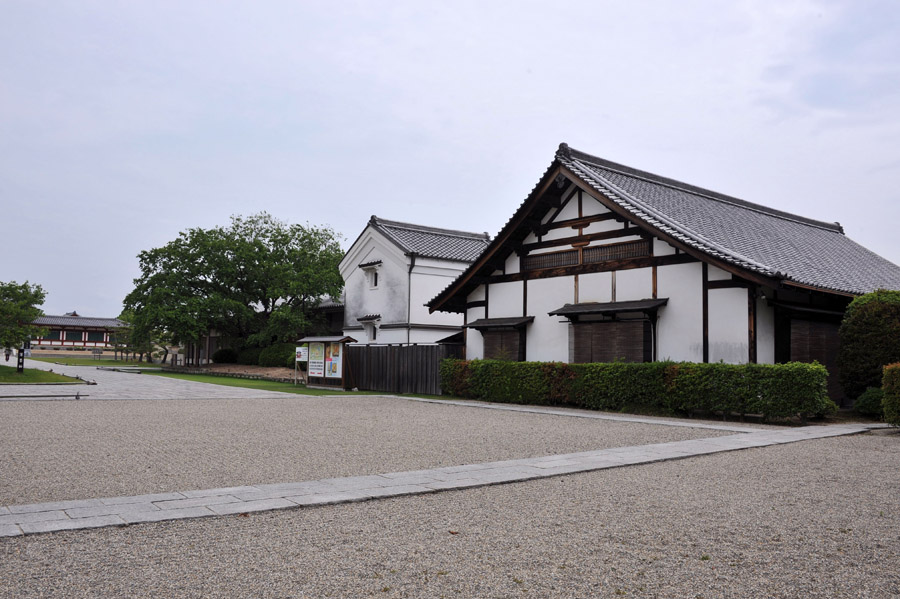 薬師寺 と 玄奘三蔵院 (奈良)_a0042310_9431259.jpg