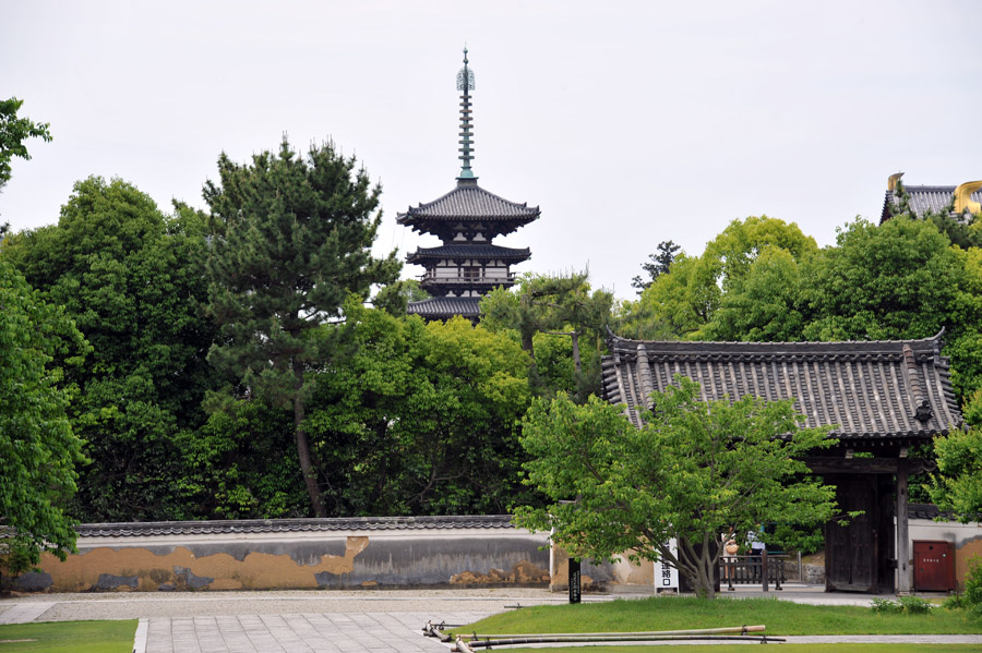 薬師寺 と 玄奘三蔵院 （奈良）_a0042310_9451656.jpg