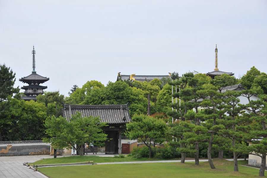 薬師寺 と 玄奘三蔵院 （奈良）_a0042310_9452820.jpg