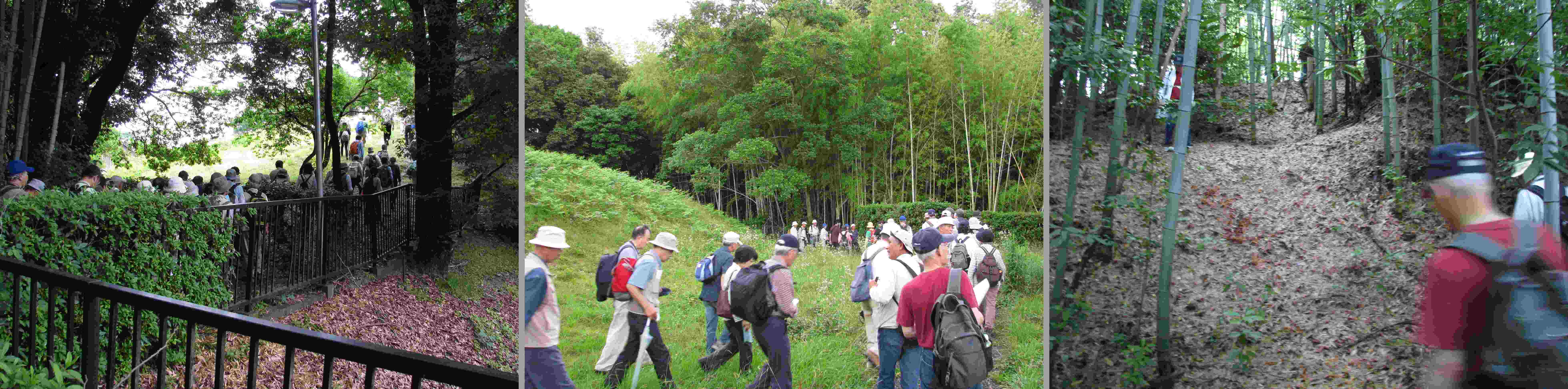 橿原考古学研究所友史会例会参加報告　２０１１．6.19_e0080110_20131150.jpg