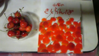 c0038722_828042.jpg