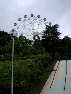 f0210439_0501834.jpg