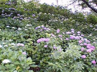 f0210439_0511572.jpg