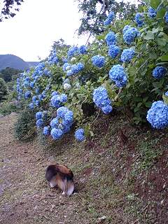 f0210439_0525130.jpg