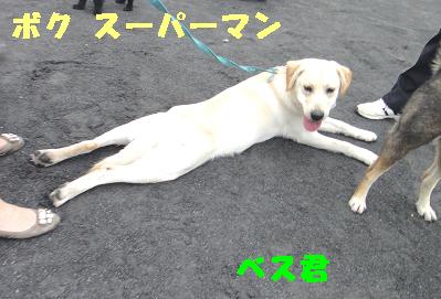 ガーコちゃん公園は大人気_e0195743_148583.jpg