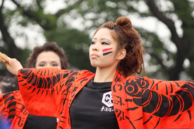 犬山踊芸祭_a0216344_23444661.jpg