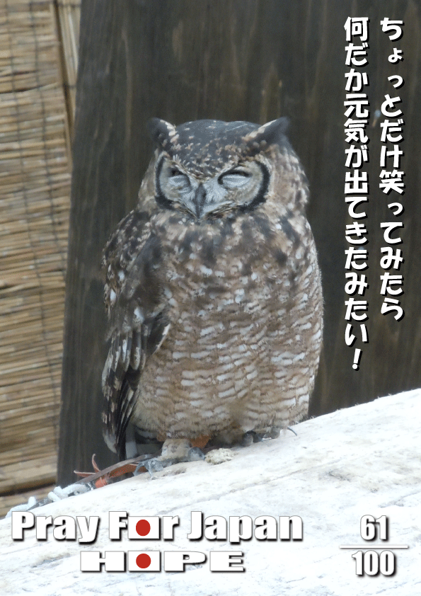 d0227044_20194041.gif