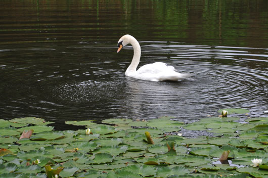 c0093046_78185.jpg