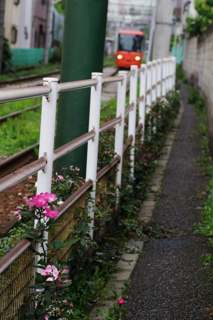 路面電車のある風景_b0133447_1843531.jpg