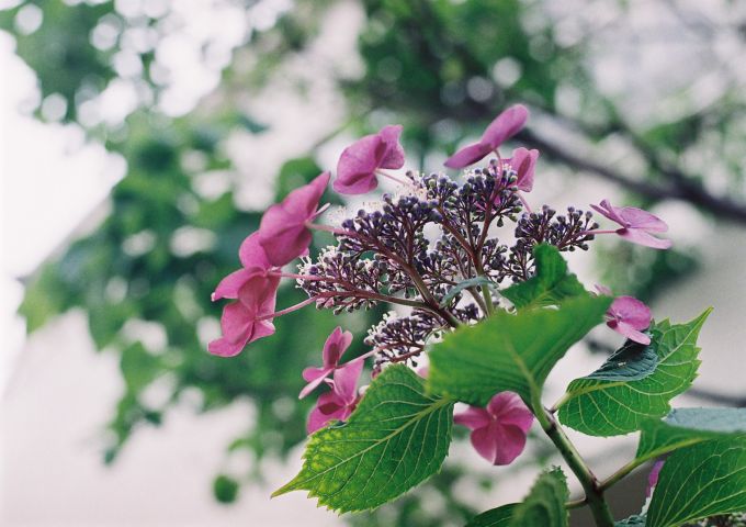 b0170947_1750447.jpg