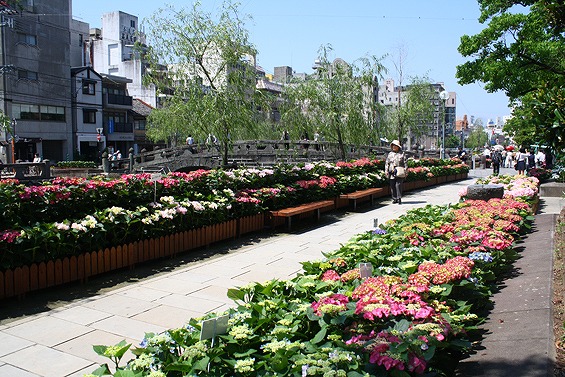 b0181748_1647112.jpg