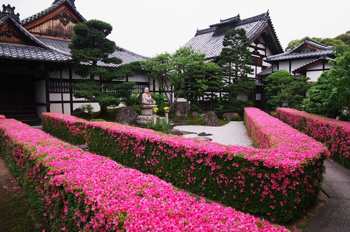 サツキライン(妙心寺塔頭・慈雲院)_f0155048_22203166.jpg