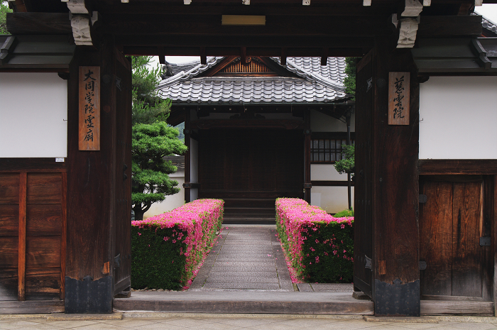 サツキライン(妙心寺塔頭・慈雲院)_f0155048_22203580.jpg