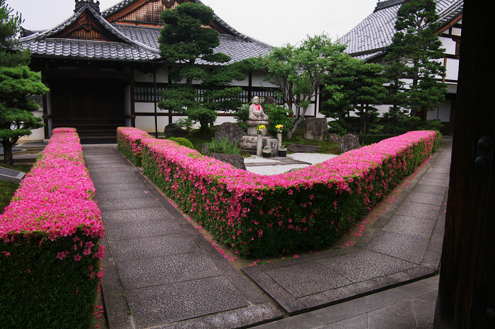 サツキライン(妙心寺塔頭・慈雲院)_f0155048_222284.jpg